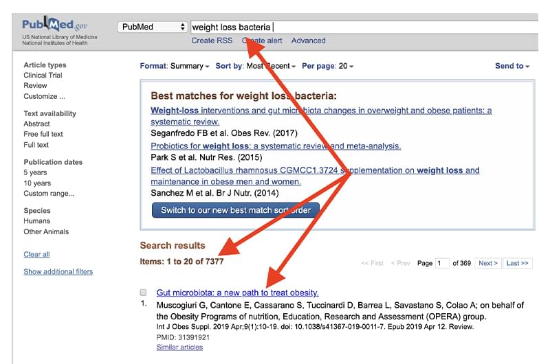Weight loss bacteria.